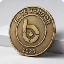 Die struck bronze coin pin