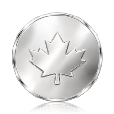 Shiny Silver Shiny Silver