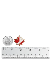 1"(25.4mm) 1"(25.4mm)
