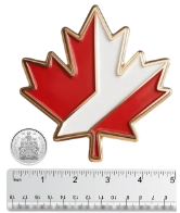 4"(101.6mm) 4"(101.6mm)